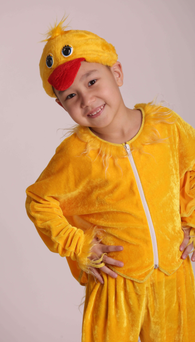 Carnival costume chicken # 8