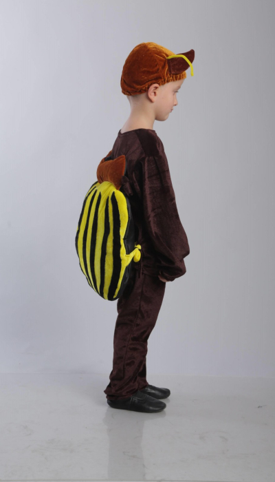 Carnival costume Colorado beetle