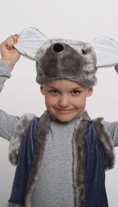 Карнавальний костюм Мишка Мишеня №2