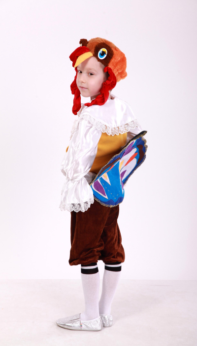 Carnival costume for a boy turkey, TM Sonechko TM turkey