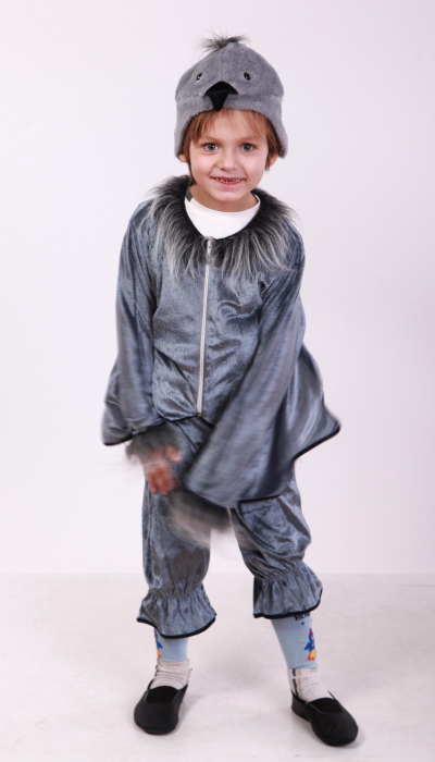 Карнавальний костюм для хлопчика Горобчик №8