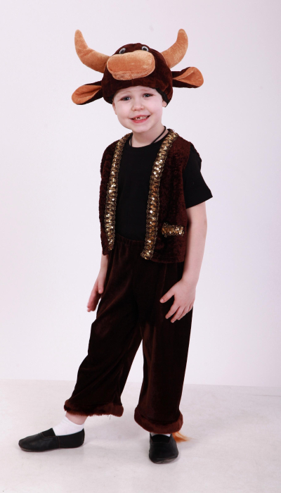 Bull carnival costume for a boy - bull