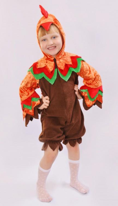 Карнавальний костюм Півень-Півник №5