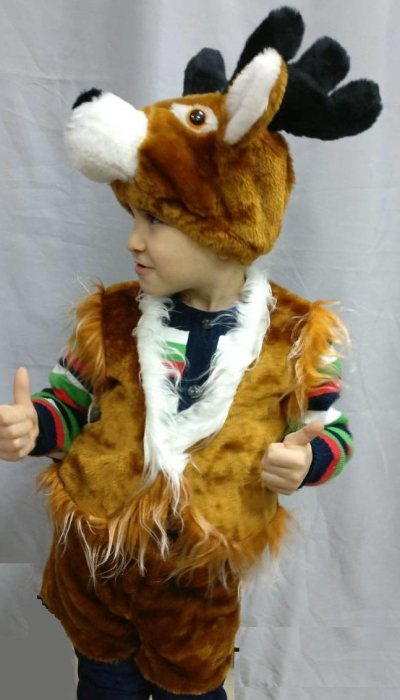Carnival costume for a boy Deer