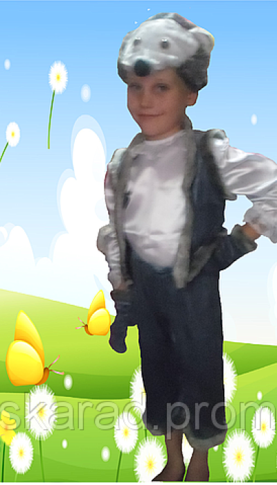 Карнавальний костюм Їжачок №2 Їжак