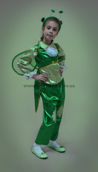 Carnival costume for grasshopper # 1