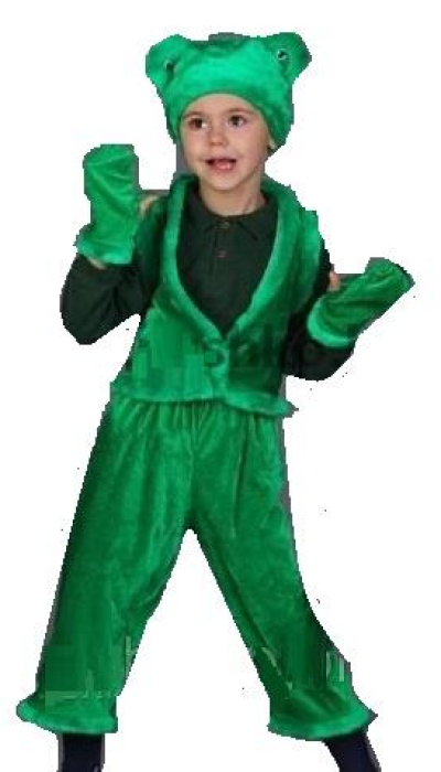 Carnival costume Frog №2