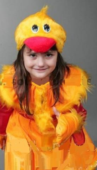 Carnival costume Duck number 2