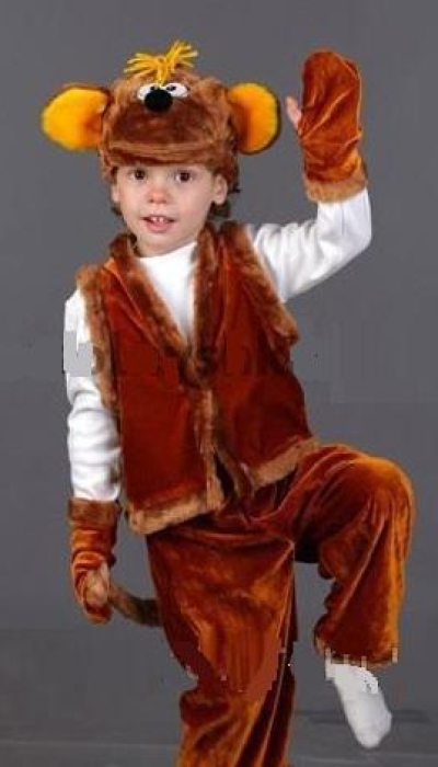 Carnival costume Monkey №2