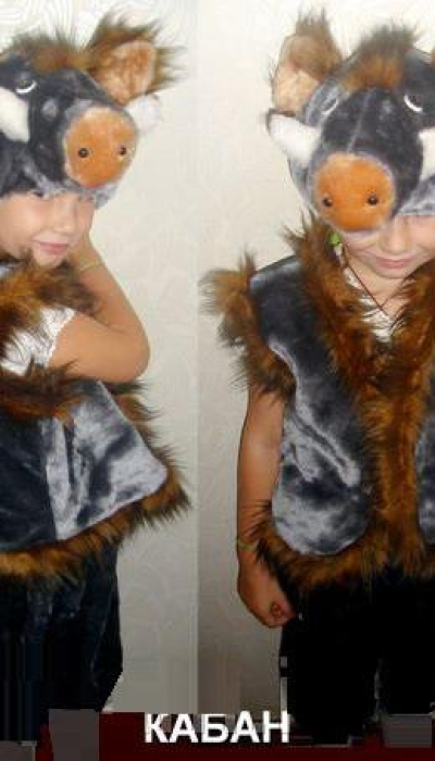 Carnival costume for a boy Boar