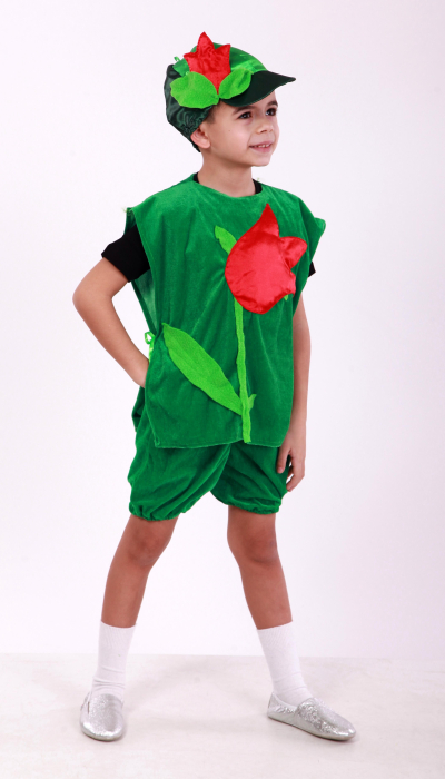 Carnival costume for the boy Tulip