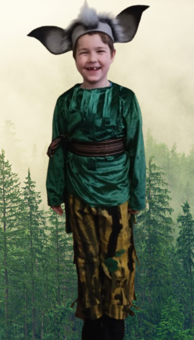 Карнавальний костюм Гоблін Лісовик № 9 Sonechko