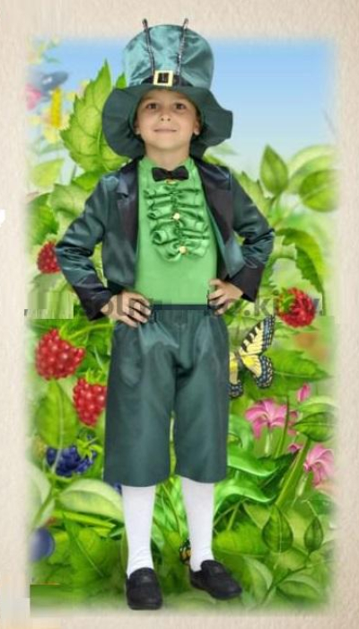 Карнавальний костюм Коник-стрибунець №3