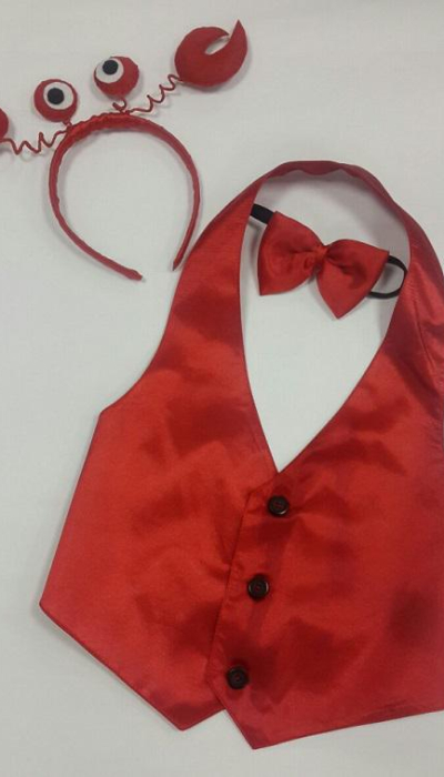 Carnival costume for a boy crab