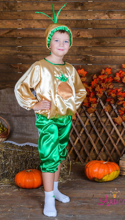 Карнавальний костюм Цибуля №4